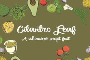Cilantro Leaf Typeface Review for Brand Design