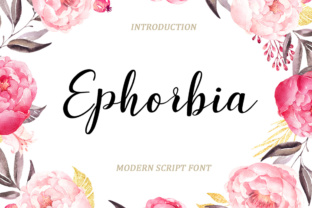 Ephorbia Font Review for Web Designers