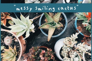 Reviewing Messy Smissing Cactus for Real Design Work