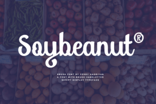 Soybeanut: A Friendly Script Font for Editorial Design