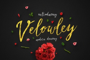 Velowley Font: A Web Designer’s Review