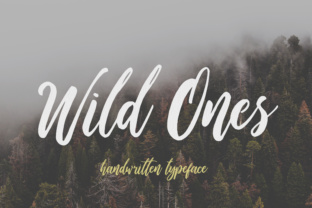 Wild Ones: A Playful Script Font for Bold Campaigns