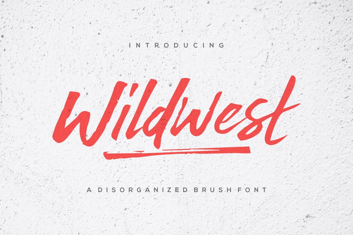 Wildwest Typeface Review for Web Designers